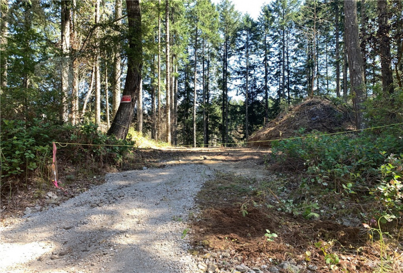 14916 113th, Gig Harbor, Washington 98329, ,Land,For Sale,113th,NWM1863593