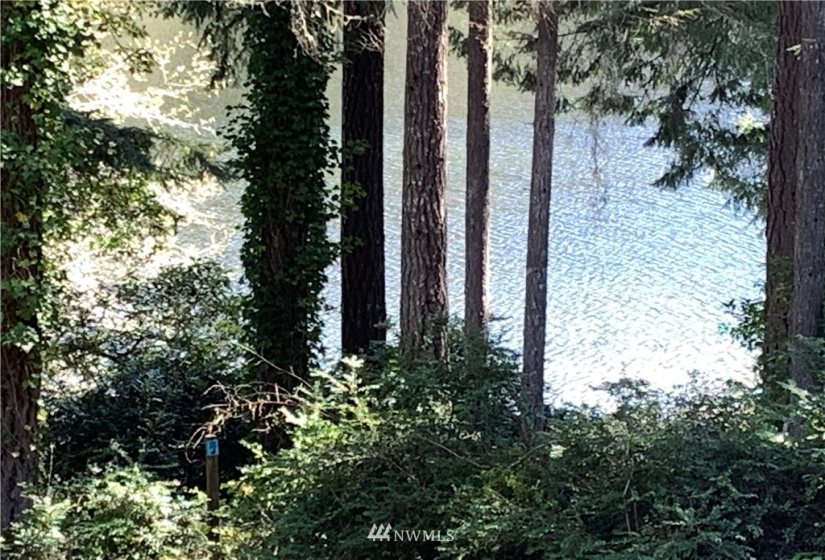 14916 113th, Gig Harbor, Washington 98329, ,Land,For Sale,113th,NWM1863593