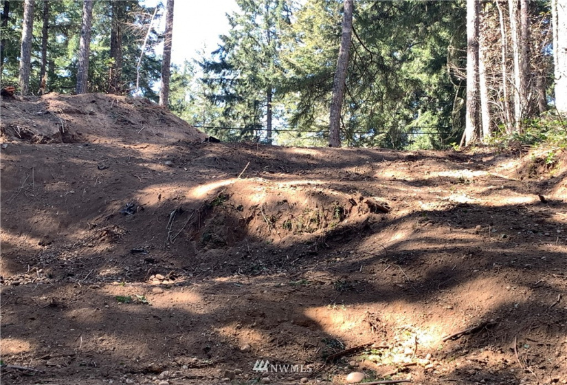 14916 113th, Gig Harbor, Washington 98329, ,Land,For Sale,113th,NWM1863593