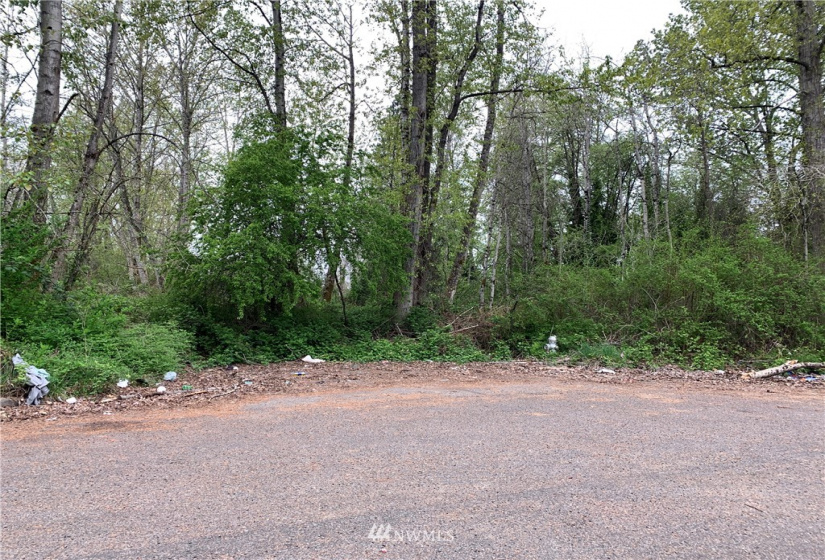 14916 113th, Gig Harbor, Washington 98329, ,Land,For Sale,113th,NWM1863593