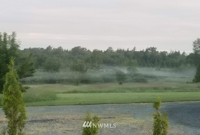 7549 Kickerville, Blaine, Washington 98230, ,Land,For Sale,Kickerville,NWM1863617