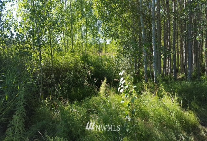 7549 Kickerville, Blaine, Washington 98230, ,Land,For Sale,Kickerville,NWM1863617