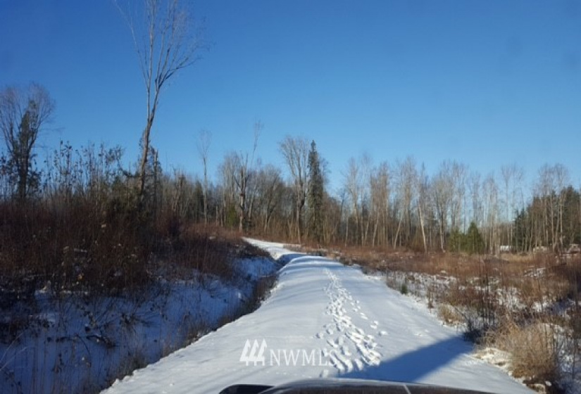 7549 Kickerville, Blaine, Washington 98230, ,Land,For Sale,Kickerville,NWM1863617