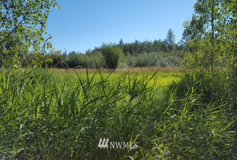 7549 Kickerville, Blaine, Washington 98230, ,Land,For Sale,Kickerville,NWM1863617