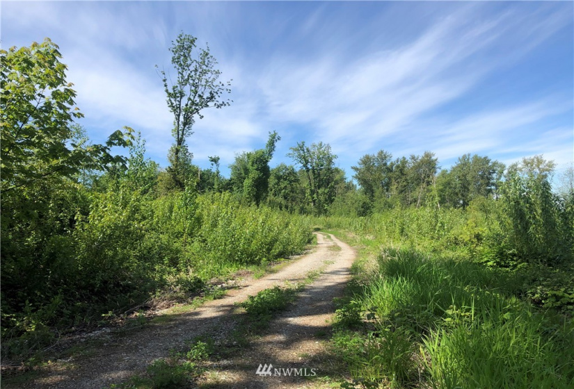 7549 Kickerville, Blaine, Washington 98230, ,Land,For Sale,Kickerville,NWM1863617