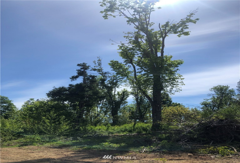 7549 Kickerville, Blaine, Washington 98230, ,Land,For Sale,Kickerville,NWM1863617