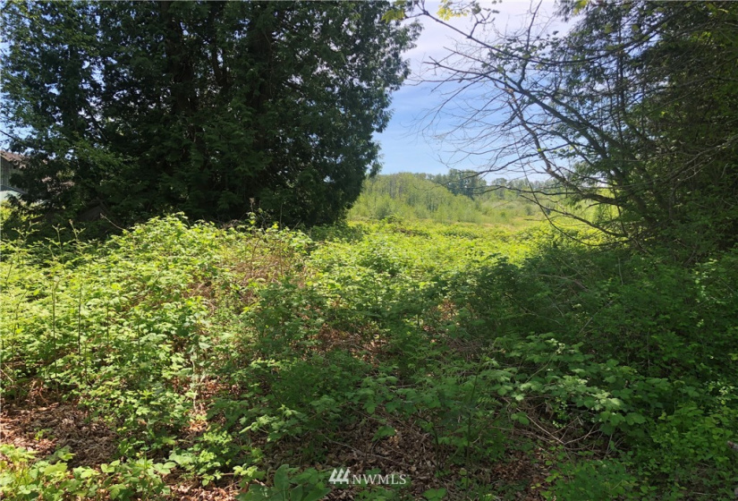 7549 Kickerville, Blaine, Washington 98230, ,Land,For Sale,Kickerville,NWM1863617