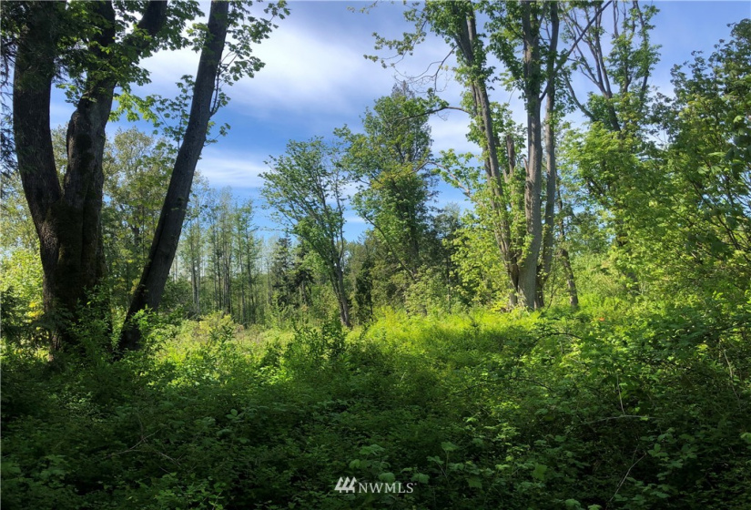 7549 Kickerville, Blaine, Washington 98230, ,Land,For Sale,Kickerville,NWM1863617