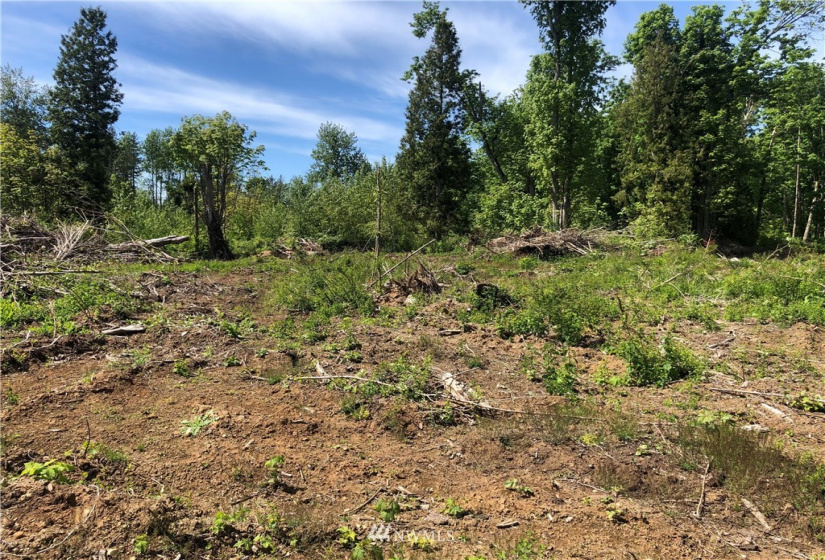 7549 Kickerville, Blaine, Washington 98230, ,Land,For Sale,Kickerville,NWM1863617