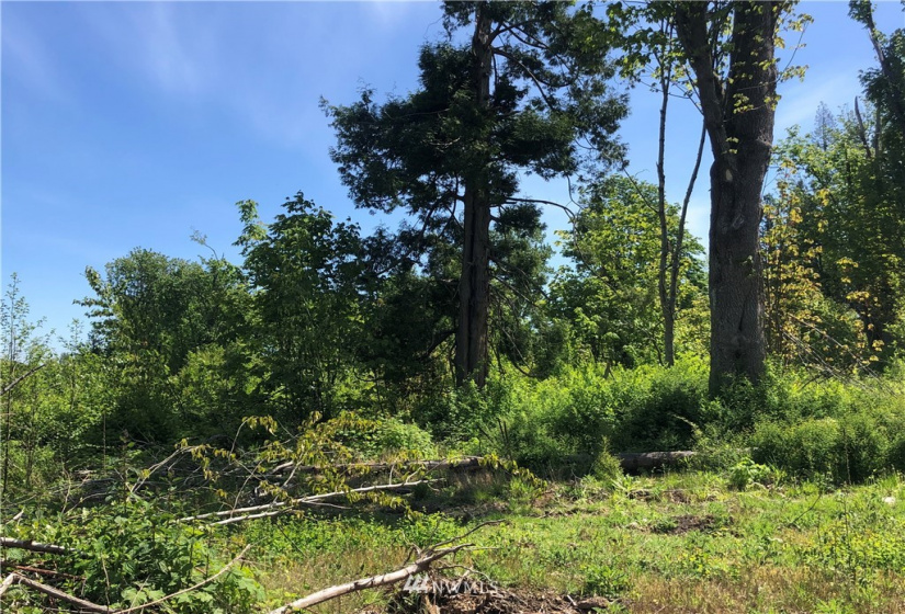 7549 Kickerville, Blaine, Washington 98230, ,Land,For Sale,Kickerville,NWM1863617