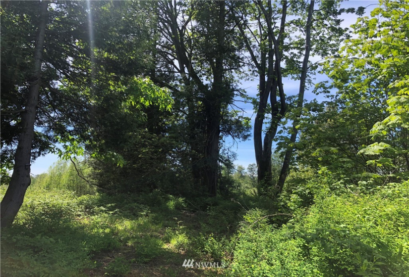 7549 Kickerville, Blaine, Washington 98230, ,Land,For Sale,Kickerville,NWM1863617