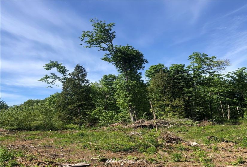 7549 Kickerville, Blaine, Washington 98230, ,Land,For Sale,Kickerville,NWM1863617