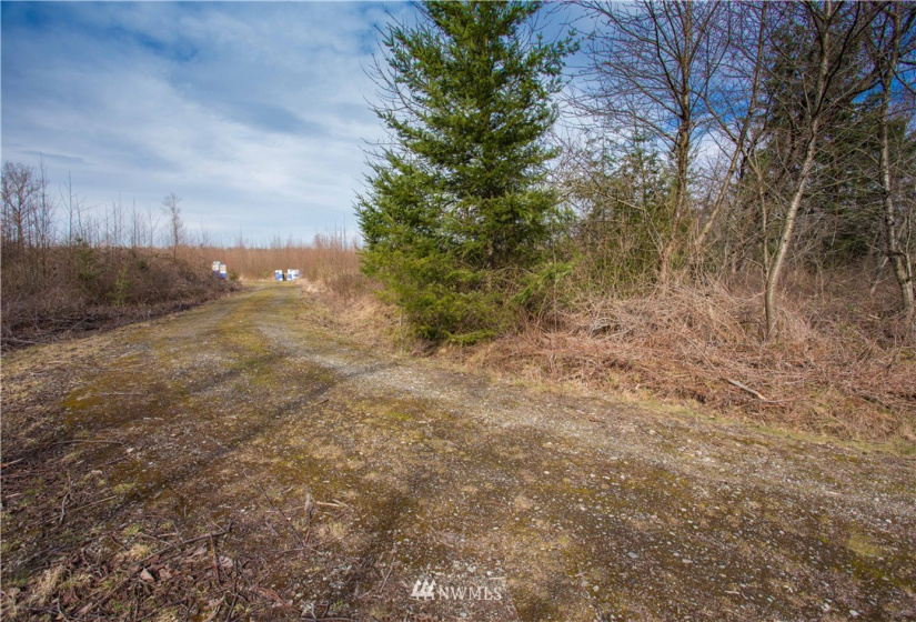 7549 Kickerville, Blaine, Washington 98230, ,Land,For Sale,Kickerville,NWM1863617