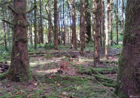 115 Temple, Morton, Washington 98356, ,Land,For Sale,Temple,NWM1863771