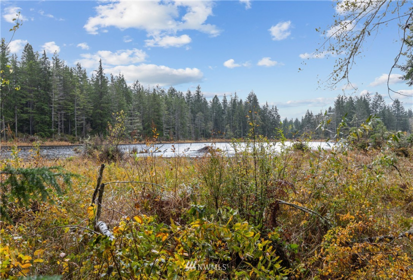 6911 Pirates Cove, Port Orchard, Washington 98367, 4 Bedrooms Bedrooms, ,2 BathroomsBathrooms,Residential,For Sale,Pirates Cove,NWM1862675