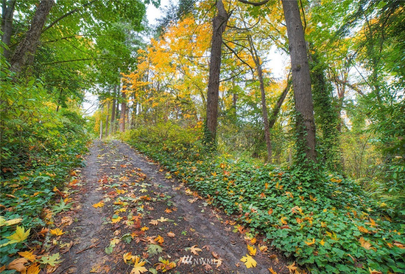 15 1078A Sunrise, Bainbridge Island, Washington 98110, ,Land,For Sale,Sunrise,NWM1858701