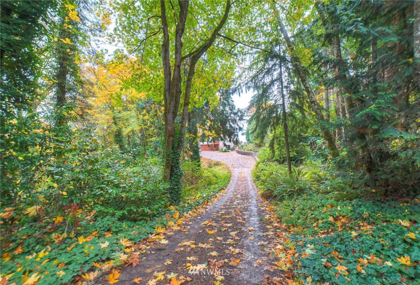 15 1078A Sunrise, Bainbridge Island, Washington 98110, ,Land,For Sale,Sunrise,NWM1858701
