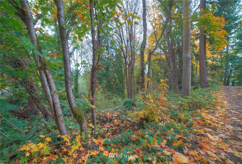 15 1078A Sunrise, Bainbridge Island, Washington 98110, ,Land,For Sale,Sunrise,NWM1858701