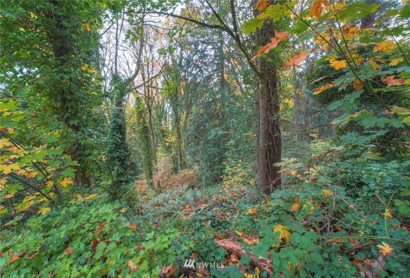 15 1078A Sunrise, Bainbridge Island, Washington 98110, ,Land,For Sale,Sunrise,NWM1858701