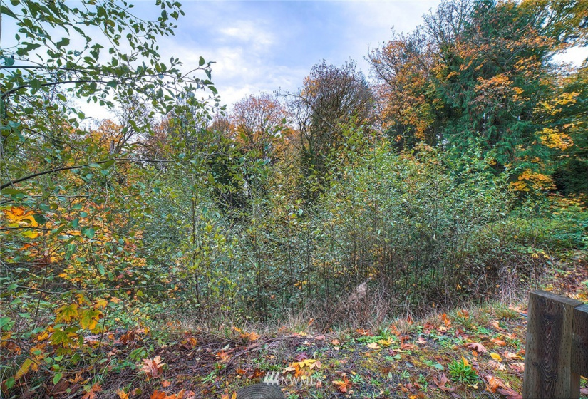 15 1078A Sunrise, Bainbridge Island, Washington 98110, ,Land,For Sale,Sunrise,NWM1858701