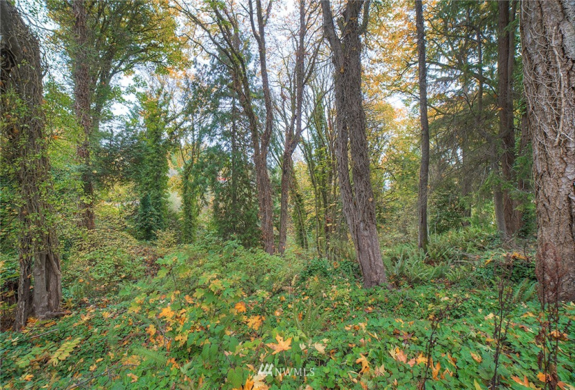 15 1078A Sunrise, Bainbridge Island, Washington 98110, ,Land,For Sale,Sunrise,NWM1858701