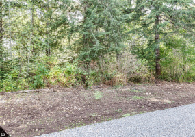99923 Thomas, Forks, Washington 98331, ,Land,For Sale,Thomas 3rd Addition,Thomas,NWM1854412