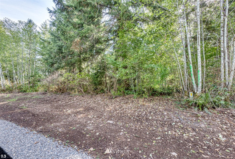 99923 Thomas, Forks, Washington 98331, ,Land,For Sale,Thomas 3rd Addition,Thomas,NWM1854412