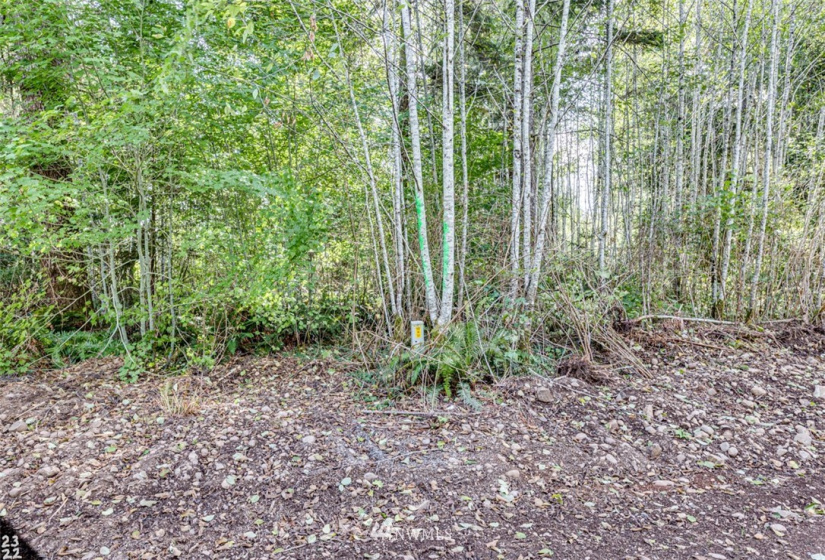 99923 Thomas, Forks, Washington 98331, ,Land,For Sale,Thomas 3rd Addition,Thomas,NWM1854412