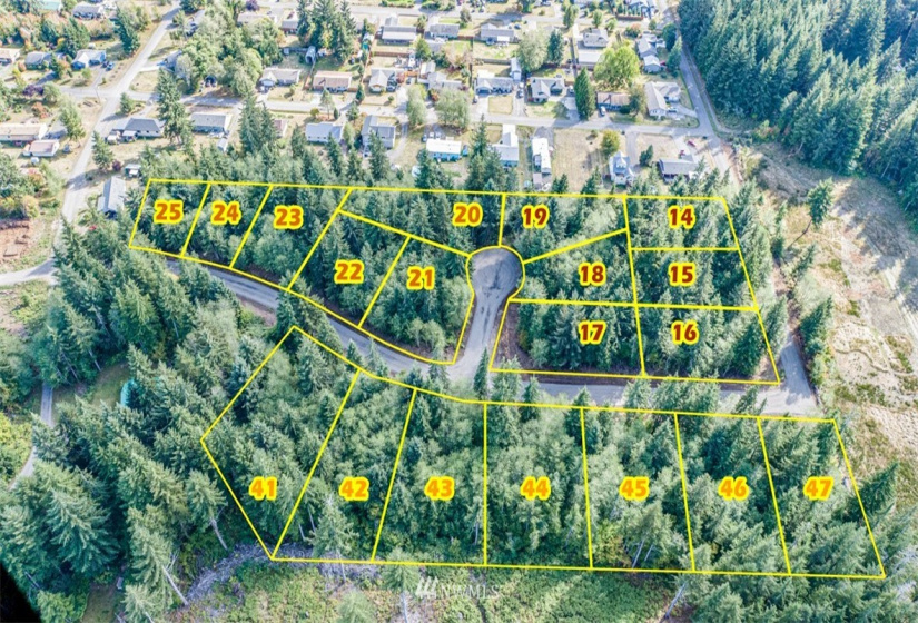 99923 Thomas, Forks, Washington 98331, ,Land,For Sale,Thomas 3rd Addition,Thomas,NWM1854412