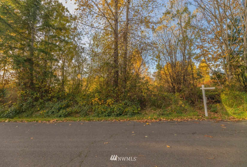 2526 74th, Everett, Washington 98205, ,Land,For Sale,Sunridge,74th,NWM1863124