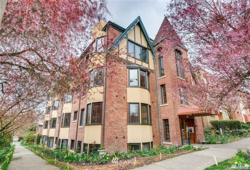 1101 17th, Seattle, Washington 98122, 1 Bedroom Bedrooms, ,1 BathroomBathrooms,Residential,For Sale,Mayfair Manor Condo,17th,NWM1863591