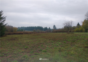 213 Nelson, Winlock, Washington 98596, ,Land,For Sale,Nelson,NWM1864041