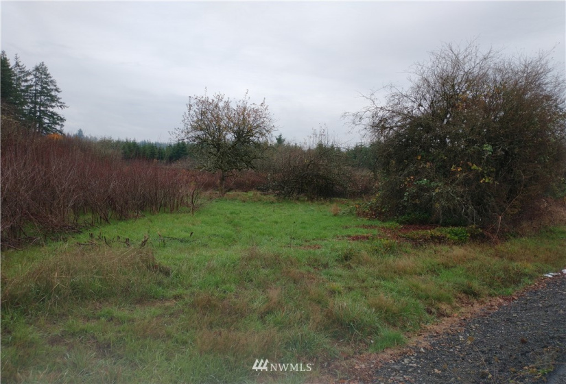 213 Nelson, Winlock, Washington 98596, ,Land,For Sale,Nelson,NWM1864041