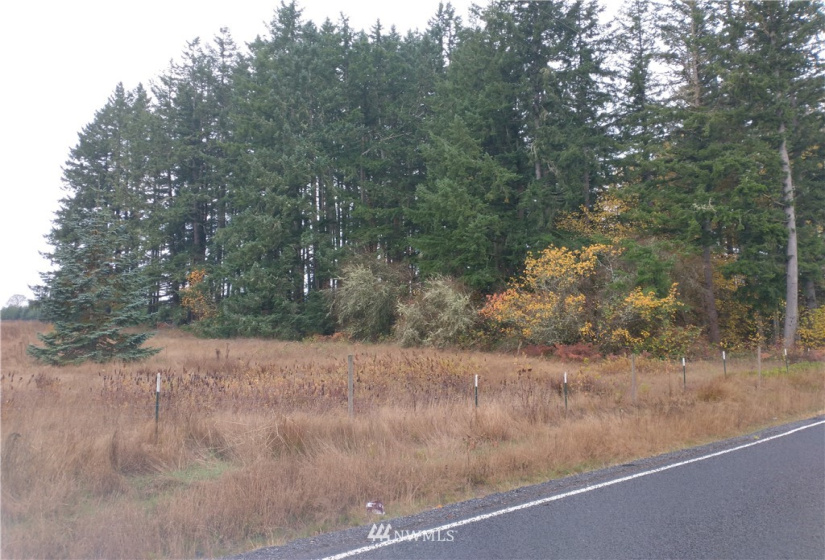 213 Nelson, Winlock, Washington 98596, ,Land,For Sale,Nelson,NWM1864041