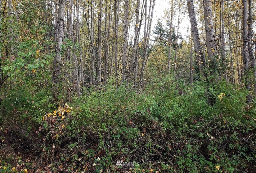 0 14th St., Blaine, Washington 98230, ,Land,For Sale,Blaine Land Cos Add To Blaine,14th St.,NWM1864373
