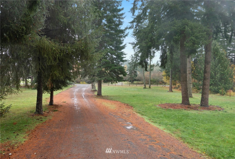 12341 Zeller, Yelm, Washington 98597, 2 Bedrooms Bedrooms, ,1 BathroomBathrooms,Residential,For Sale,Zeller,NWM1863576