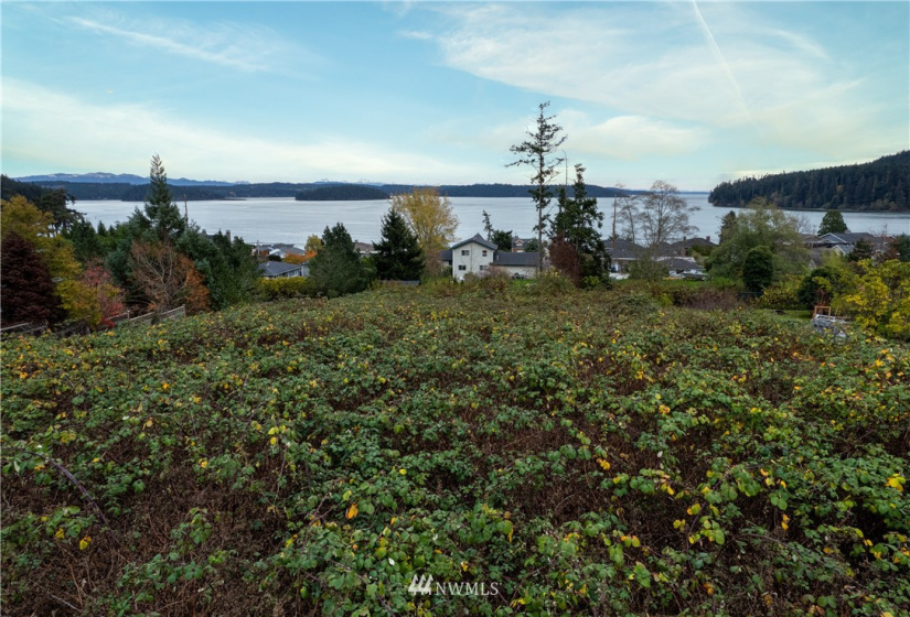 0 Central, Anacortes, Washington 98221, ,Land,For Sale,Central,NWM1864427