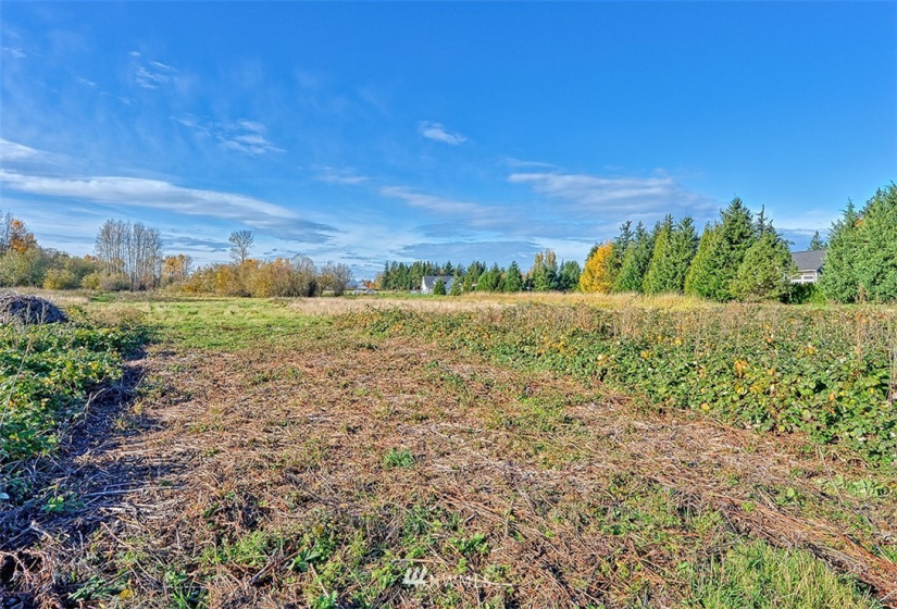 2 Guide Meridian, Lynden, Washington 98264, ,Land,For Sale,Guide Meridian,NWM1864162