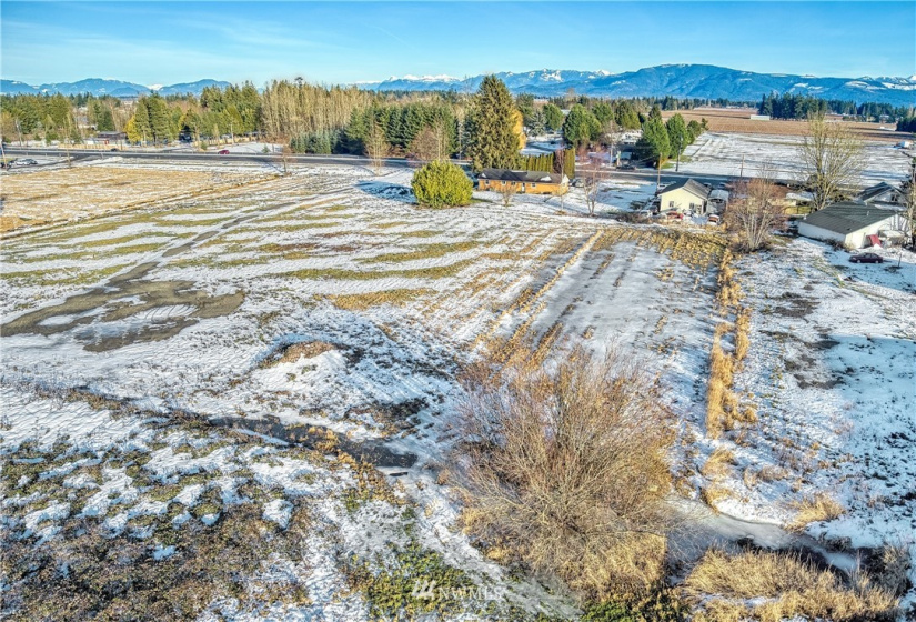 2 Guide Meridian, Lynden, Washington 98264, ,Land,For Sale,Guide Meridian,NWM1864162