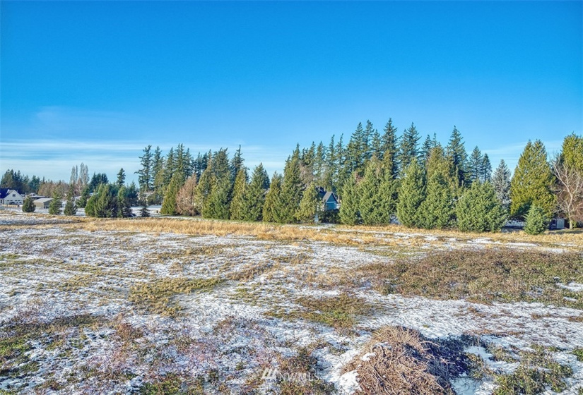 2 Guide Meridian, Lynden, Washington 98264, ,Land,For Sale,Guide Meridian,NWM1864162