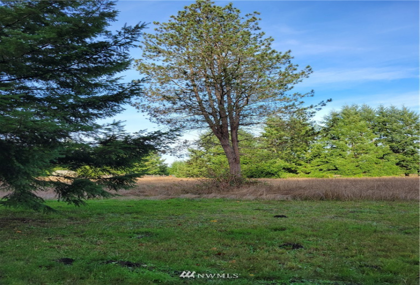 17607 Mima Acres, Tenino, Washington 98589, 3 Bedrooms Bedrooms, ,1 BathroomBathrooms,Residential,For Sale,Mima Acres,Mima Acres,NWM1864085