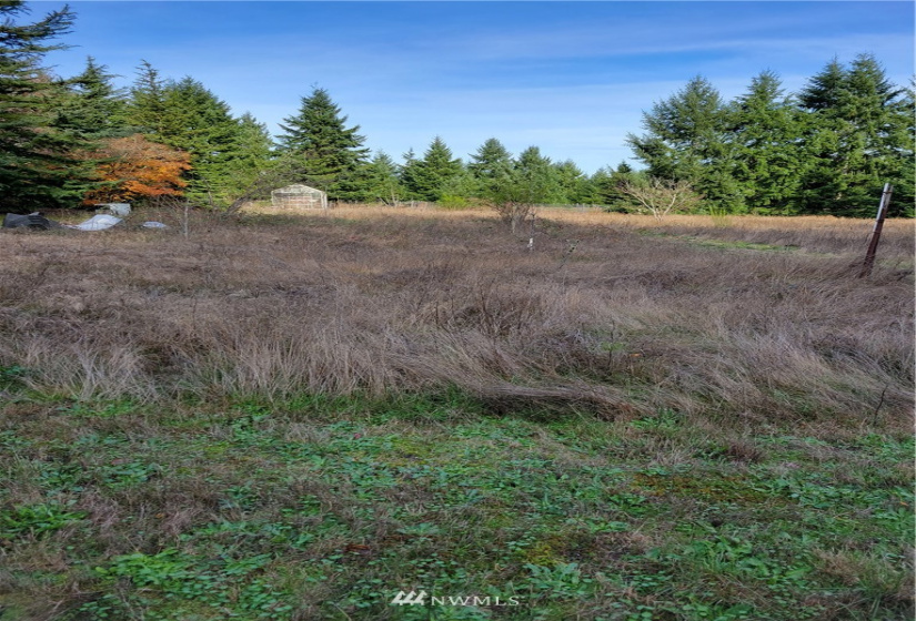 17607 Mima Acres, Tenino, Washington 98589, 3 Bedrooms Bedrooms, ,1 BathroomBathrooms,Residential,For Sale,Mima Acres,Mima Acres,NWM1864085