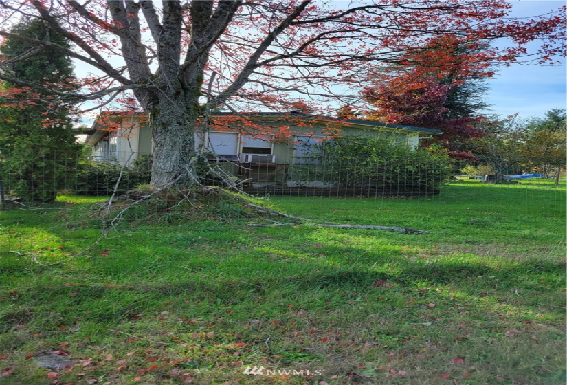 17607 Mima Acres, Tenino, Washington 98589, 3 Bedrooms Bedrooms, ,1 BathroomBathrooms,Residential,For Sale,Mima Acres,Mima Acres,NWM1864085