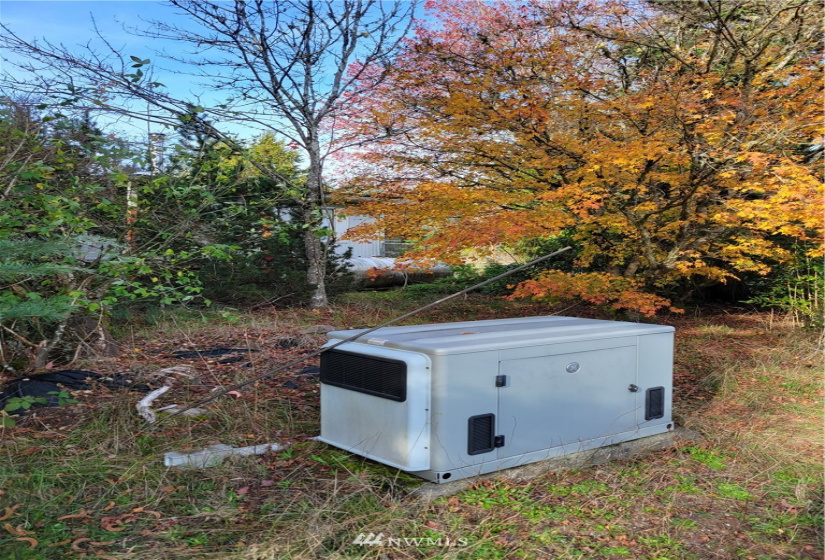 17607 Mima Acres, Tenino, Washington 98589, 3 Bedrooms Bedrooms, ,1 BathroomBathrooms,Residential,For Sale,Mima Acres,Mima Acres,NWM1864085