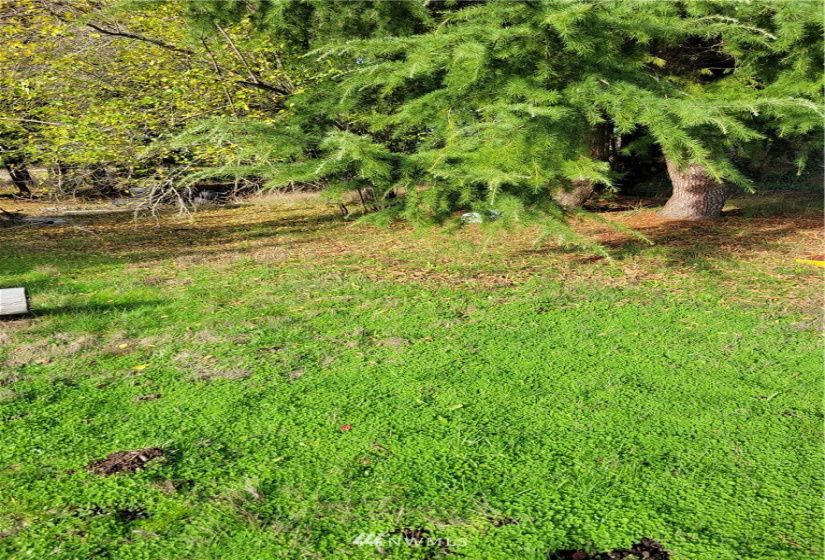 17607 Mima Acres, Tenino, Washington 98589, 3 Bedrooms Bedrooms, ,1 BathroomBathrooms,Residential,For Sale,Mima Acres,Mima Acres,NWM1864085