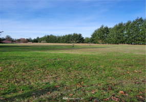 17607 Mima Acres, Tenino, Washington 98589, 3 Bedrooms Bedrooms, ,1 BathroomBathrooms,Residential,For Sale,Mima Acres,Mima Acres,NWM1864085