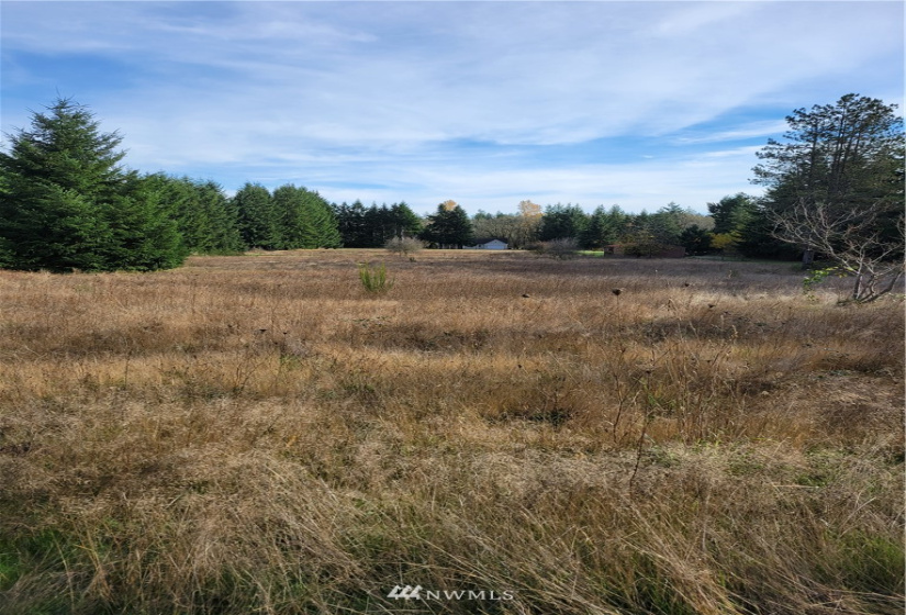 17607 Mima Acres, Tenino, Washington 98589, 3 Bedrooms Bedrooms, ,1 BathroomBathrooms,Residential,For Sale,Mima Acres,Mima Acres,NWM1864085