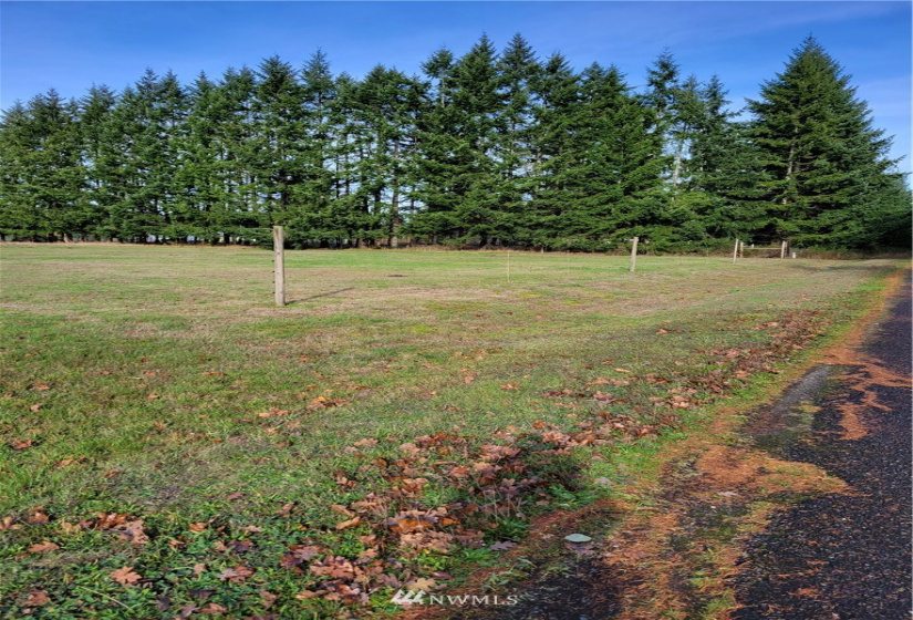 17607 Mima Acres, Tenino, Washington 98589, 3 Bedrooms Bedrooms, ,1 BathroomBathrooms,Residential,For Sale,Mima Acres,Mima Acres,NWM1864085