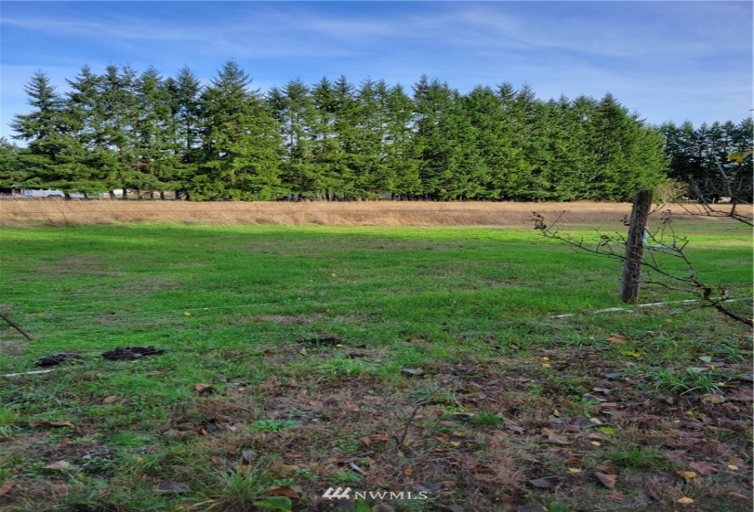 17607 Mima Acres, Tenino, Washington 98589, 3 Bedrooms Bedrooms, ,1 BathroomBathrooms,Residential,For Sale,Mima Acres,Mima Acres,NWM1864085