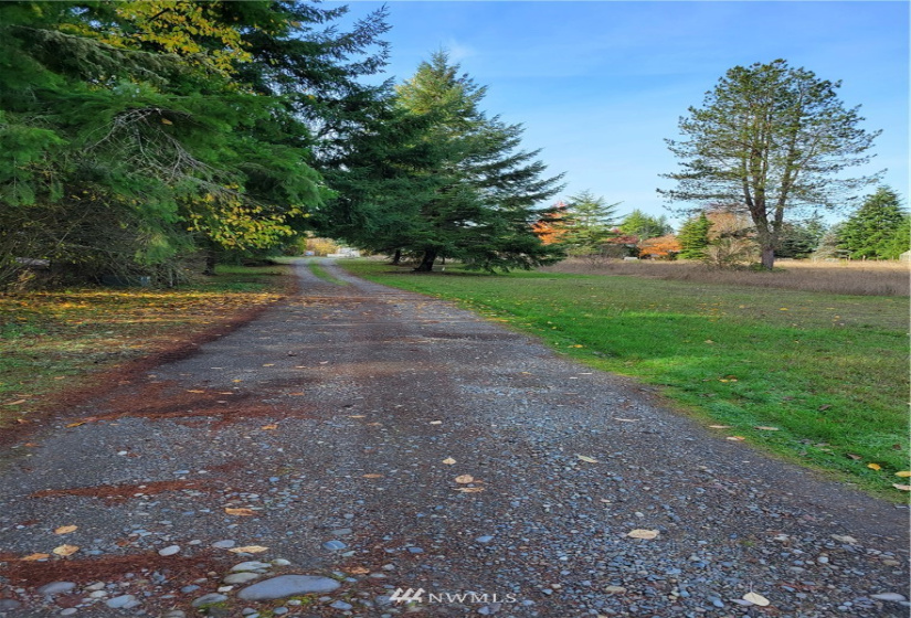 17607 Mima Acres, Tenino, Washington 98589, 3 Bedrooms Bedrooms, ,1 BathroomBathrooms,Residential,For Sale,Mima Acres,Mima Acres,NWM1864085